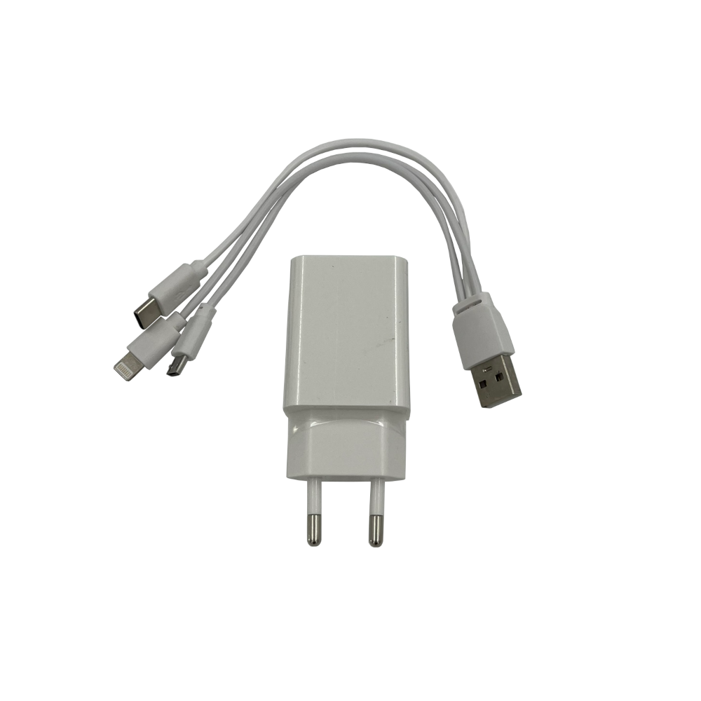 12V Multi-Function Jump Starter with Compressor, Charger & Flashlight